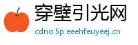 穿壁引光网
